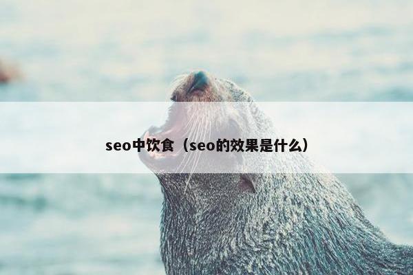 seo中饮食（seo的效果是什么）