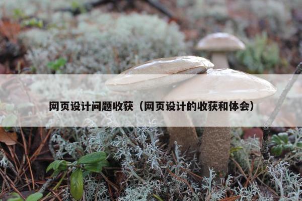 网页设计问题收获（网页设计的收获和体会）