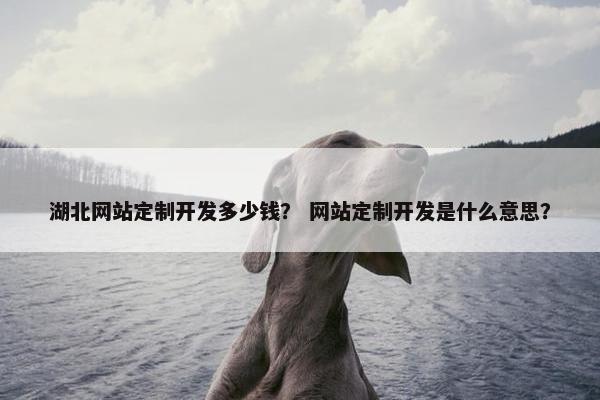 湖北网站定制开发多少钱？ 网站定制开发是什么意思？