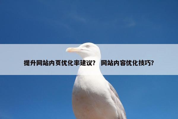 提升网站内页优化率建议？ 网站内容优化技巧？