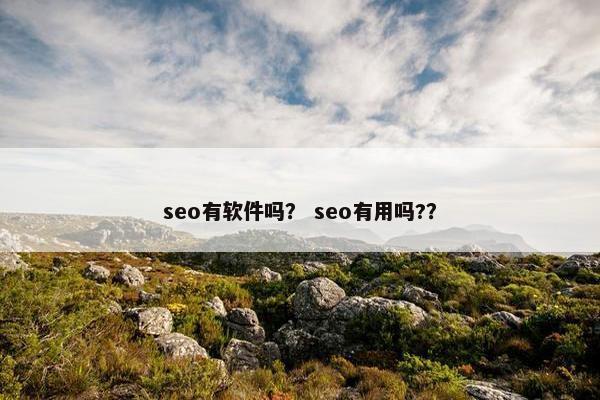 seo有软件吗？ seo有用吗?？