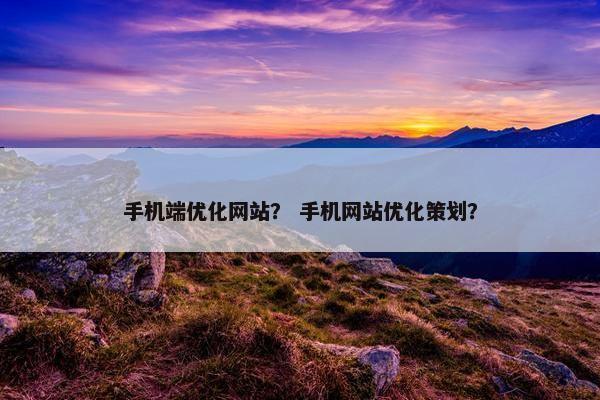 手机端优化网站？ 手机网站优化策划？