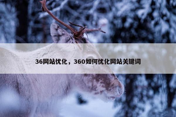 36网站优化，360如何优化网站关键词