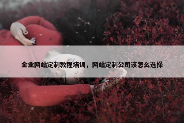 企业网站定制教程培训，网站定制公司该怎么选择