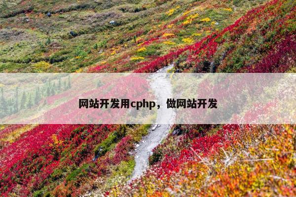 网站开发用cphp，做网站开发