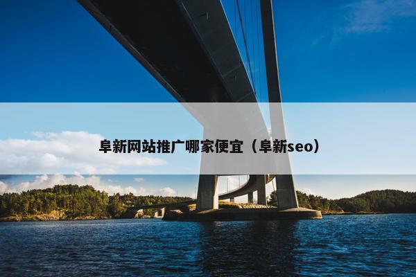 阜新网站推广哪家便宜（阜新seo）