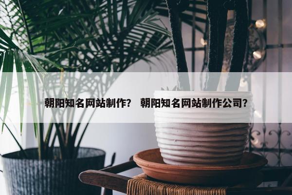 朝阳知名网站制作？ 朝阳知名网站制作公司？