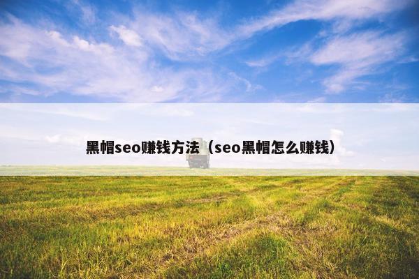 黑帽seo赚钱方法（seo黑帽怎么赚钱）