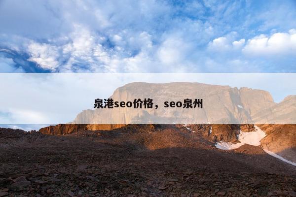 泉港seo价格，seo泉州