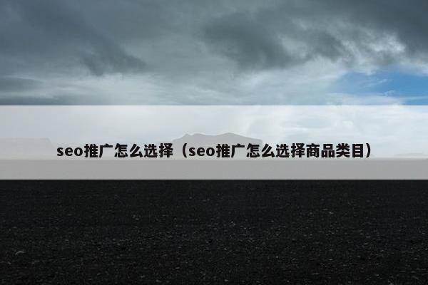 seo推广怎么选择（seo推广怎么选择商品类目）