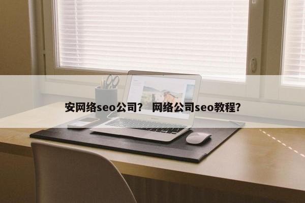 安网络seo公司？ 网络公司seo教程？