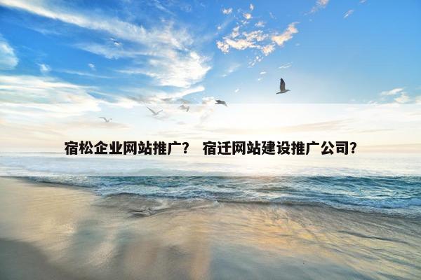 宿松企业网站推广？ 宿迁网站建设推广公司？