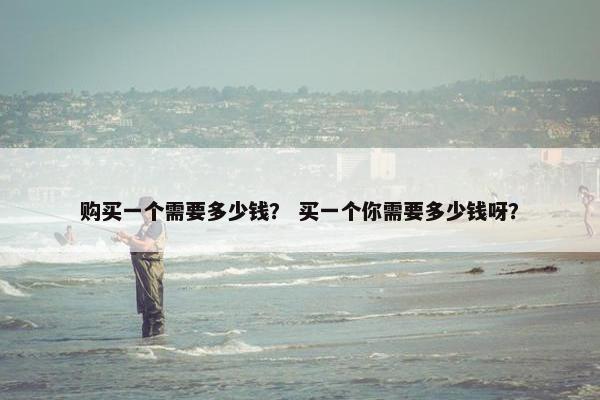 购买一个需要多少钱？ 买一个你需要多少钱呀？