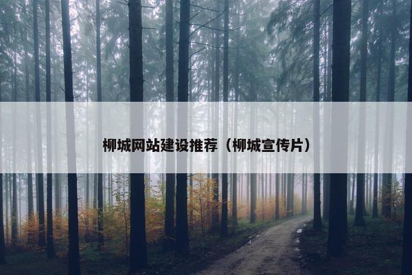 柳城网站建设推荐（柳城宣传片）