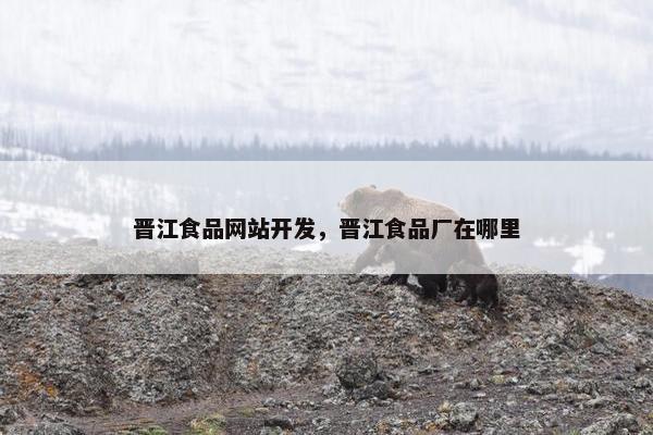 晋江食品网站开发，晋江食品厂在哪里