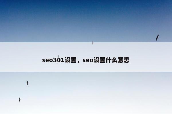 seo301设置，seo设置什么意思