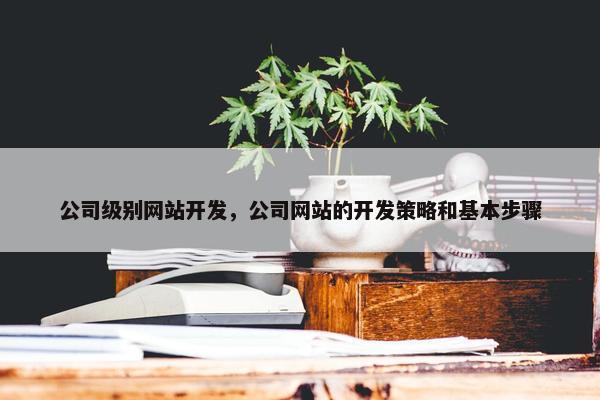 公司级别网站开发，公司网站的开发策略和基本步骤