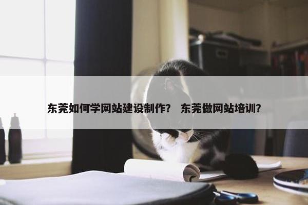 东莞如何学网站建设制作？ 东莞做网站培训？