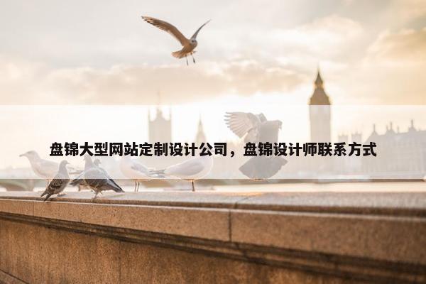 盘锦大型网站定制设计公司，盘锦设计师联系方式