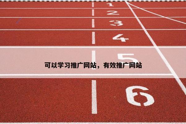 可以学习推广网站，有效推广网站
