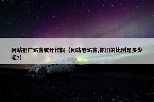 网站推广访客统计作假（网站老访客,你们的比例是多少呢?）