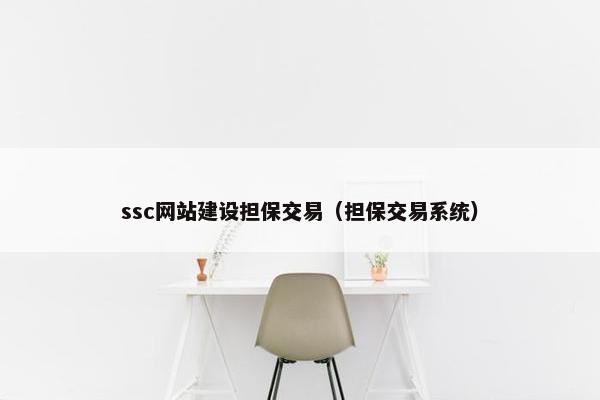 ssc网站建设担保交易（担保交易系统）