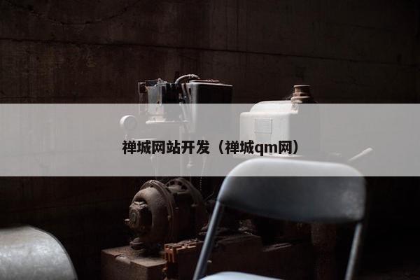 禅城网站开发（禅城qm网）