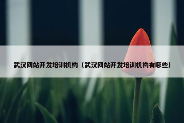 武汉网站开发培训机构（武汉网站开发培训机构有哪些）