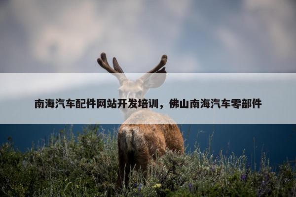 南海汽车配件网站开发培训，佛山南海汽车零部件