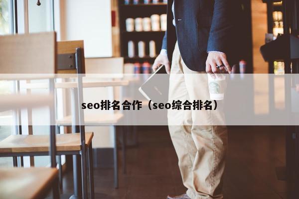 seo排名合作（seo综合排名）