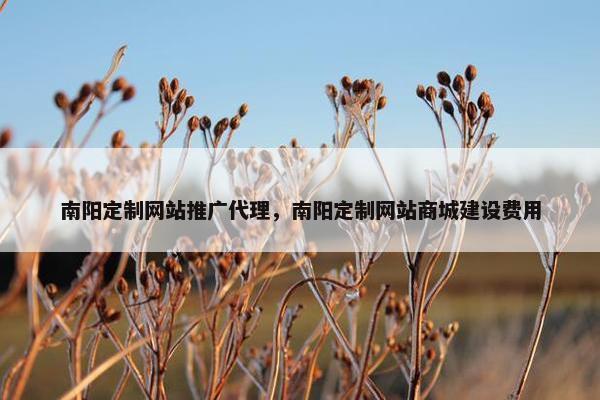 南阳定制网站推广代理，南阳定制网站商城建设费用