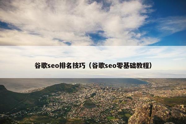谷歌seo排名技巧（谷歌seo零基础教程）