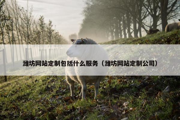 潍坊网站定制包括什么服务（潍坊网站定制公司）