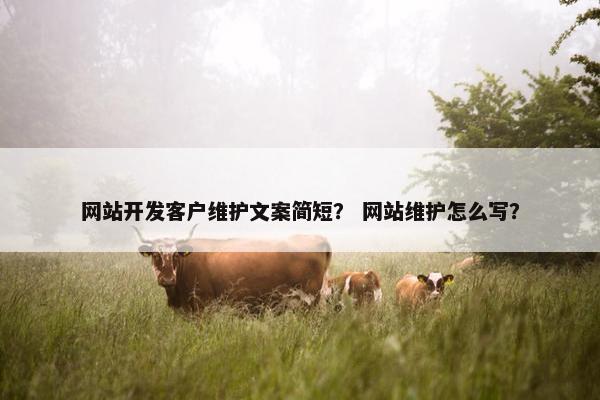 网站开发客户维护文案简短？ 网站维护怎么写？