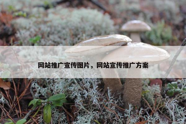 网站推广宣传图片，网站宣传推广方案