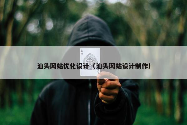 汕头网站优化设计（汕头网站设计制作）