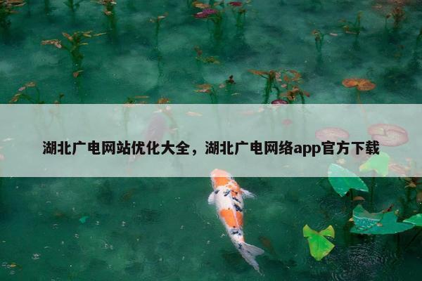 湖北广电网站优化大全，湖北广电网络app官方下载