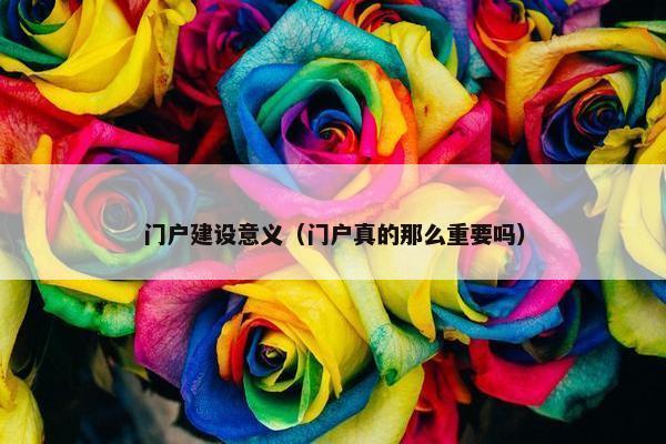 门户建设意义（门户真的那么重要吗）
