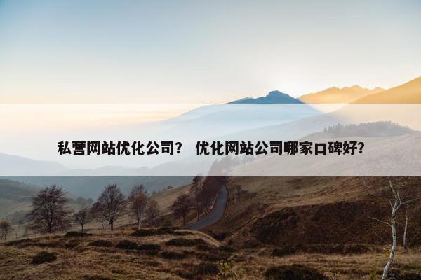 私营网站优化公司？ 优化网站公司哪家口碑好？