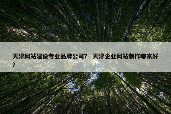 天津网站建设专业品牌公司？ 天津企业网站制作哪家好？