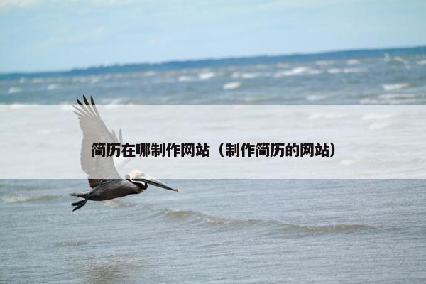 简历在哪制作网站（制作简历的网站）