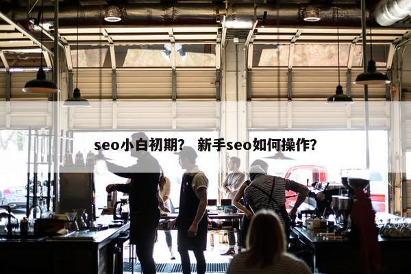 seo小白初期？ 新手seo如何操作？