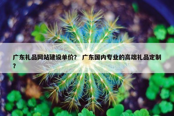 广东礼品网站建设单价？ 广东国内专业的高端礼品定制？