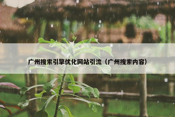 广州搜索引擎优化网站引流（广州搜索内容）