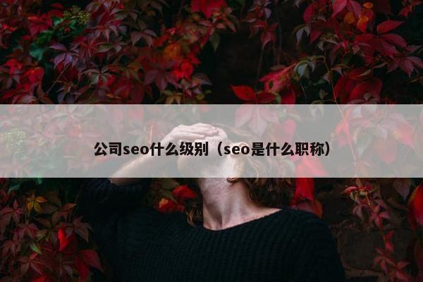 公司seo什么级别（seo是什么职称）