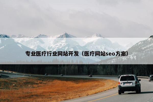 专业医疗行业网站开发（医疗网站seo方案）