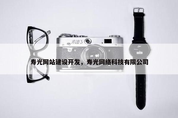 寿光网站建设开发，寿光网络科技有限公司