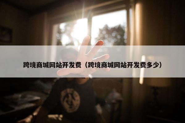 跨境商城网站开发费（跨境商城网站开发费多少）