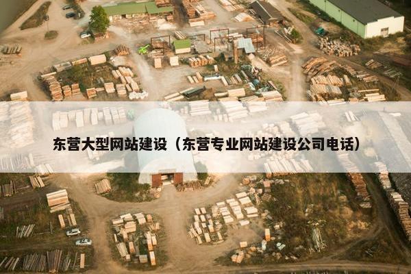 东营大型网站建设（东营专业网站建设公司电话）