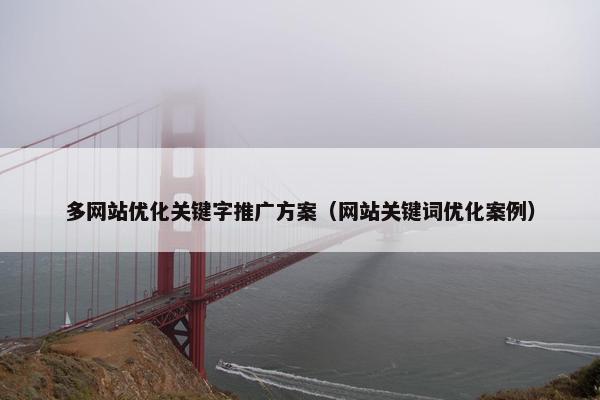 多网站优化关键字推广方案（网站关键词优化案例）